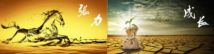企業(yè)發(fā)展要學(xué)會取他人之長、補自己之短